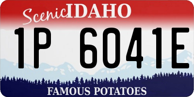ID license plate 1P6041E