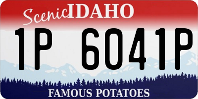 ID license plate 1P6041P