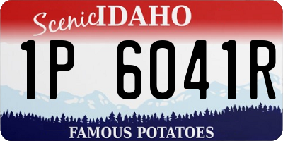ID license plate 1P6041R