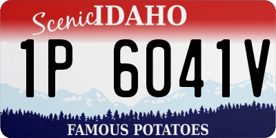 ID license plate 1P6041V