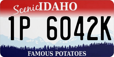 ID license plate 1P6042K