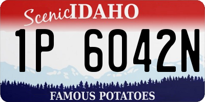 ID license plate 1P6042N