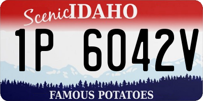 ID license plate 1P6042V