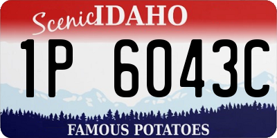 ID license plate 1P6043C