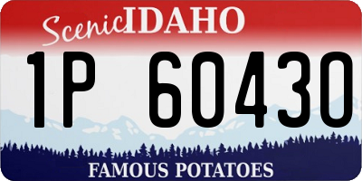 ID license plate 1P6043O
