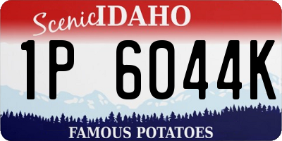 ID license plate 1P6044K