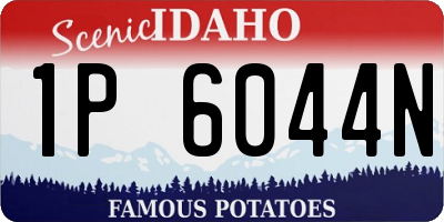 ID license plate 1P6044N