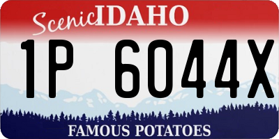 ID license plate 1P6044X