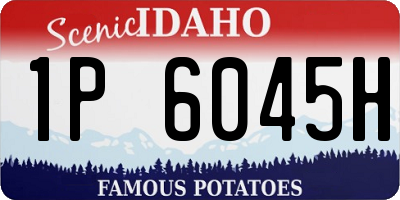 ID license plate 1P6045H