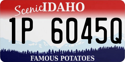 ID license plate 1P6045Q
