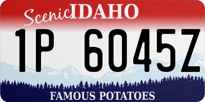 ID license plate 1P6045Z