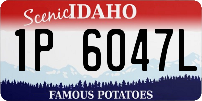 ID license plate 1P6047L