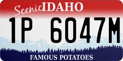 ID license plate 1P6047M