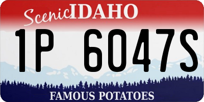 ID license plate 1P6047S