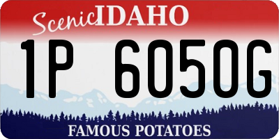 ID license plate 1P6050G