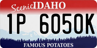 ID license plate 1P6050K