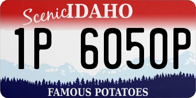 ID license plate 1P6050P