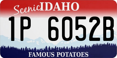 ID license plate 1P6052B