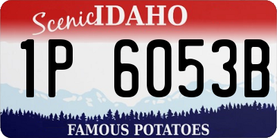 ID license plate 1P6053B