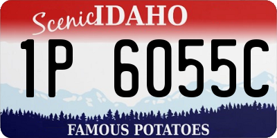 ID license plate 1P6055C