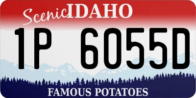 ID license plate 1P6055D