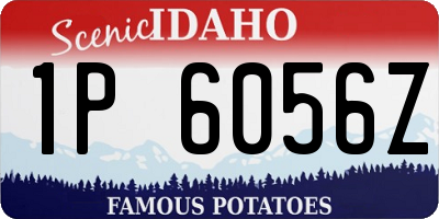 ID license plate 1P6056Z