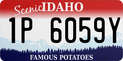 ID license plate 1P6059Y