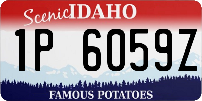 ID license plate 1P6059Z