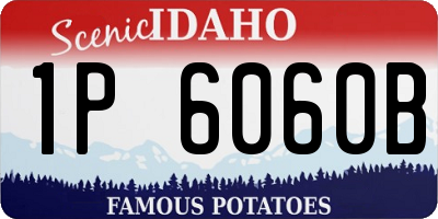 ID license plate 1P6060B