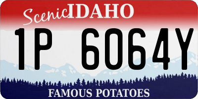 ID license plate 1P6064Y