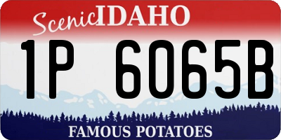 ID license plate 1P6065B
