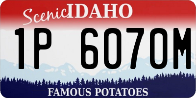 ID license plate 1P6070M