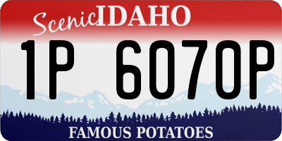 ID license plate 1P6070P