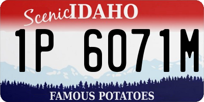 ID license plate 1P6071M