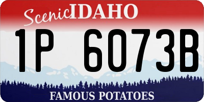 ID license plate 1P6073B