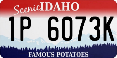 ID license plate 1P6073K