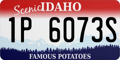 ID license plate 1P6073S