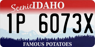 ID license plate 1P6073X