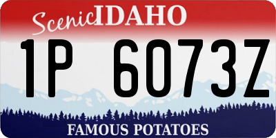 ID license plate 1P6073Z