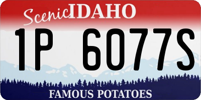 ID license plate 1P6077S