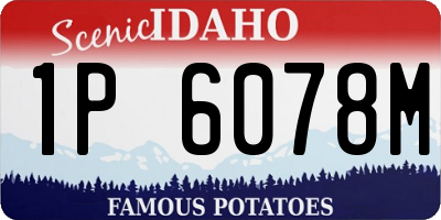 ID license plate 1P6078M