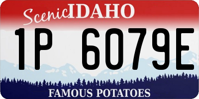 ID license plate 1P6079E