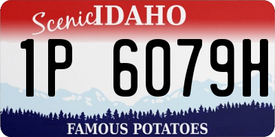 ID license plate 1P6079H