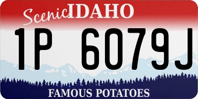 ID license plate 1P6079J