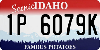 ID license plate 1P6079K