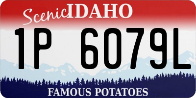ID license plate 1P6079L