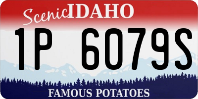 ID license plate 1P6079S