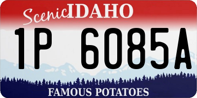 ID license plate 1P6085A
