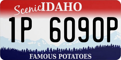ID license plate 1P6090P