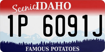 ID license plate 1P6091J